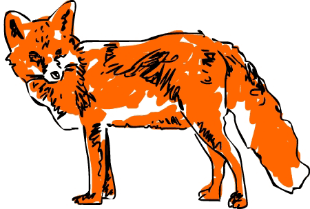 Oranger Fuchs
